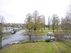 Front yard  at 3092 Garden Drive, Grandview VE, Vancouver East