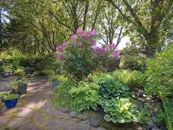 3d680a7bf8b6170032e2e07bbee4a226.jpeg at 4210 Blenheim Street, MacKenzie Heights, Vancouver West