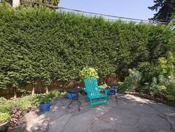 5e7d5c887726990eb25c04d3efe9228d.jpeg at 4210 Blenheim Street, MacKenzie Heights, Vancouver West