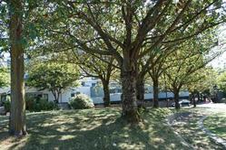 Resized-1 at 101 - 1477 Fountain Way, False Creek, Vancouver West