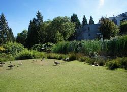 Resized-2 at 101 - 1477 Fountain Way, False Creek, Vancouver West