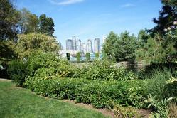 Resized-7 at 101 - 1477 Fountain Way, False Creek, Vancouver West