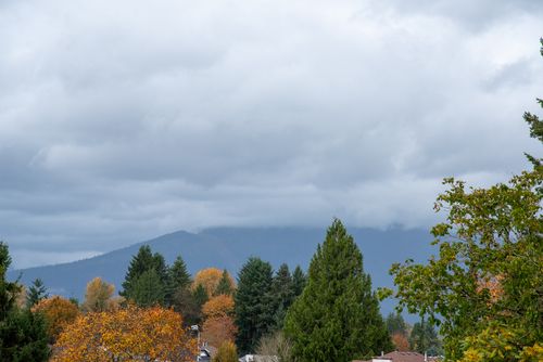 302-20331-dewdney-trunk-rd-maple-ridge-360hometours-14s at 302 - 20331 Dewdney Trunk Road, Northwest Maple Ridge, Maple Ridge