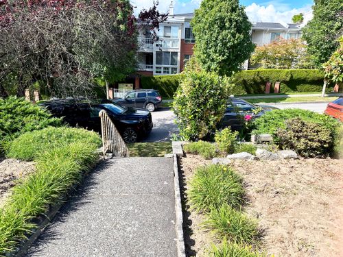front-yard at 312 East 37th Avenue, Main, Vancouver East