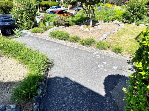 landscaping-in-front at 312 East 37th Avenue, Main, Vancouver East