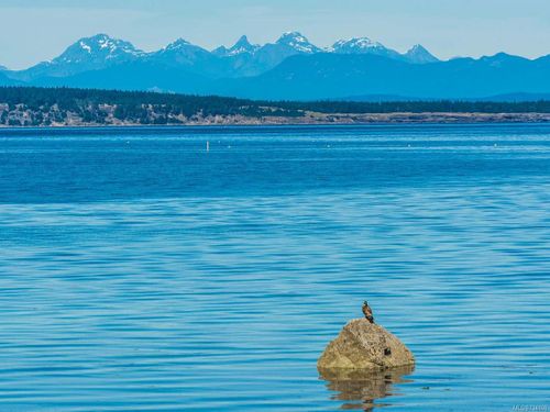 photo_server-30 at 6655 W Island Highway, Out of Town