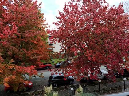 1864-frances-street-hastings-vancouver-east-03 at 303 - 1864 Frances Street, Hastings, Vancouver East