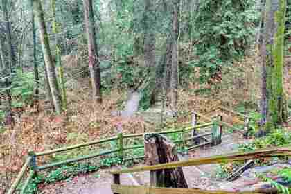 537-w-15th-street-central-lonsdale-north-vancouver-40 at 537 W 15th Street, Central Lonsdale, North Vancouver