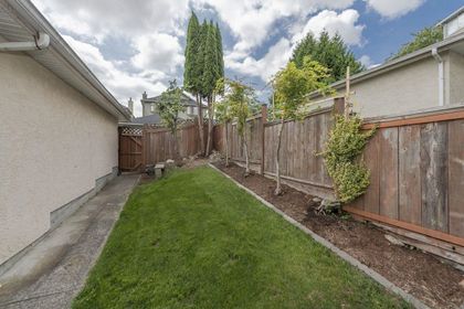 3678-tanner-street-collingwood-ve-vancouver-east-37 at 3678 Tanner Street, Collingwood VE, Vancouver East