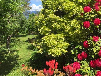 4517-w-4th-avenue-point-grey-vancouver-west-39 at 4517 W 4th Avenue, Point Grey, Vancouver West