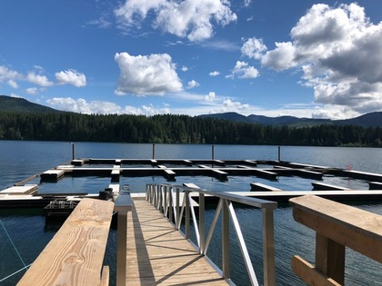 cabin-2-1 at 9354 Woodview Place, Lake Cowichan, Vancouver Island