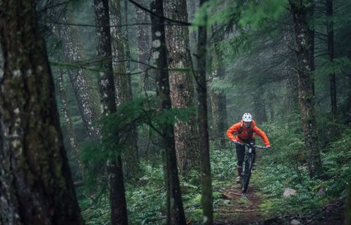 1-mount-seymour-trails-1400x900 at 1520 Fern Street, Lynnmour, North Vancouver 1-mount-seymour-trails-1400x900 at 1520 Fern Street, Lynnmour, North Vancouver