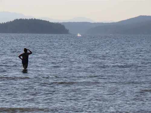 808-bayview-heights-road-gibsons-area-sunshine-coast-28 at 808 Bayview Heights Road, Gibsons & Area, Sunshine Coast 808-bayview-heights-road-gibsons-area-sunshine-coast-28 at 808 Bayview Heights Road, Gibsons & Area, Sunshine Coast