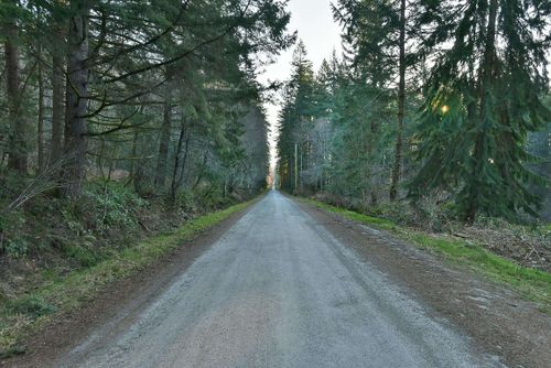 1481-reed-road-gibsons-area-sunshine-coast-17 at 1481 Reed Road, Gibsons & Area, Sunshine Coast