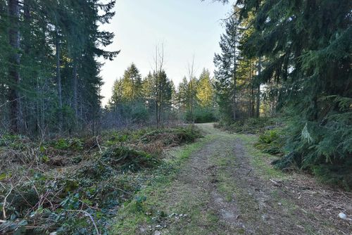 1481-reed-road-gibsons-area-sunshine-coast-24 at 1481 Reed Road, Gibsons & Area, Sunshine Coast