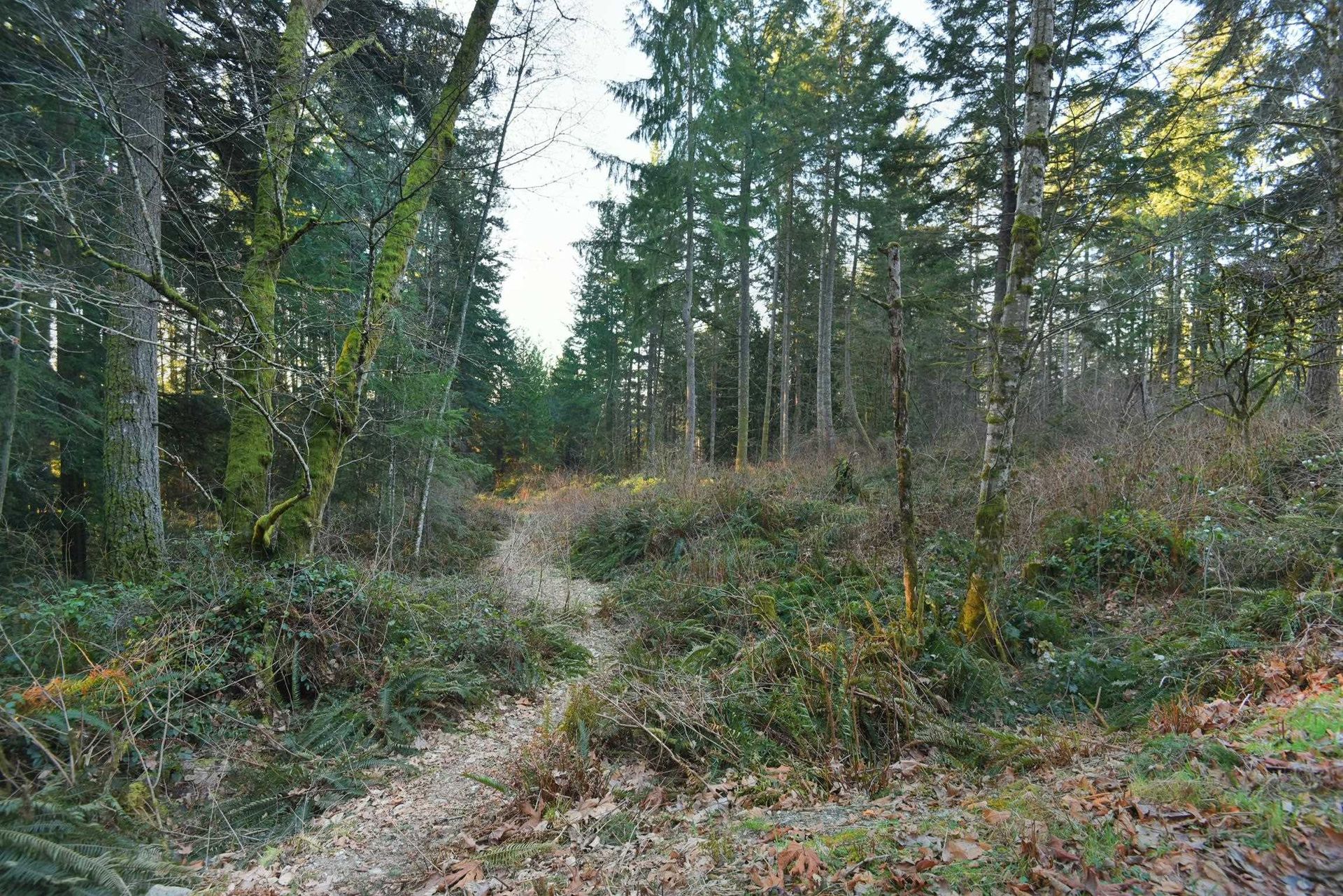 1481 Reed Road, Gibsons & Area, Sunshine Coast 