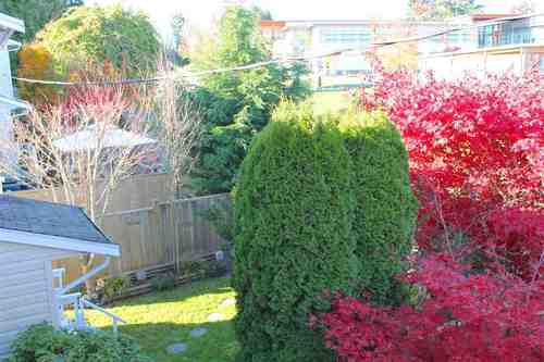 765-school-road-gibsons-area-sunshine-coast-28 at 18 - 765 School Road, Gibsons & Area, Sunshine Coast 765-school-road-gibsons-area-sunshine-coast-28 at 18 - 765 School Road, Gibsons & Area, Sunshine Coast
