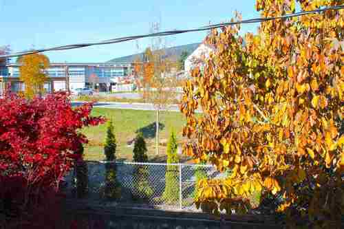 765-school-road-gibsons-area-sunshine-coast-29 at 18 - 765 School Road, Gibsons & Area, Sunshine Coast 765-school-road-gibsons-area-sunshine-coast-29 at 18 - 765 School Road, Gibsons & Area, Sunshine Coast