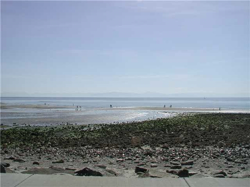 2913_262112965_1_54664eb2 at 4648 Whitaker Road, Sechelt District, Sunshine Coast 2913_262112965_1_54664eb2 at 4648 Whitaker Road, Sechelt District, Sunshine Coast