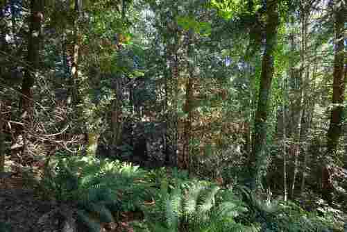 2590-sylvan-drive-roberts-creek-sunshine-coast-23 at 2590 Sylvan Drive, Roberts Creek, Sunshine Coast