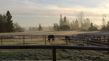  at 258 224th Street, Campbell Valley, Langley