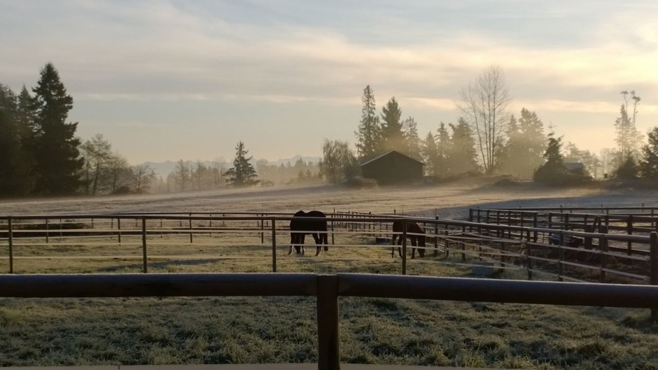 258 224th Street, Campbell Valley, Langley 