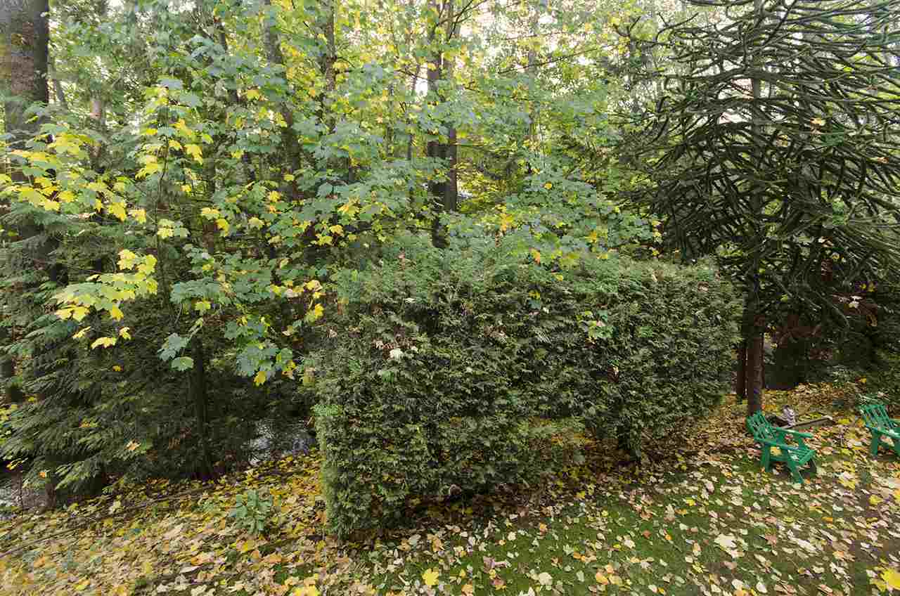 3187-mountain-highway-lynn-valley-north-vancouver-14 at 203 - 3187 Mountain Highway, Lynn Valley, North Vancouver