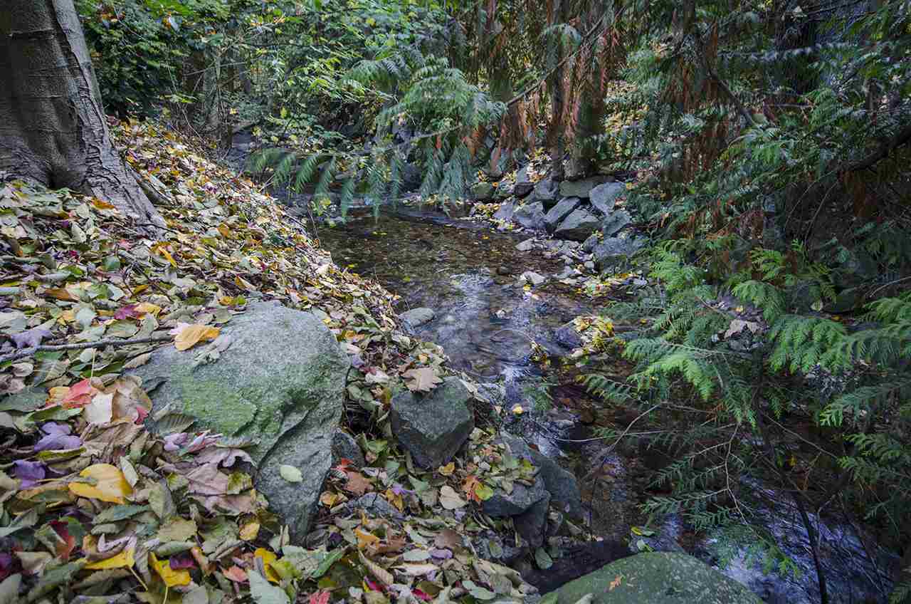 3187-mountain-highway-lynn-valley-north-vancouver-15 at 203 - 3187 Mountain Highway, Lynn Valley, North Vancouver