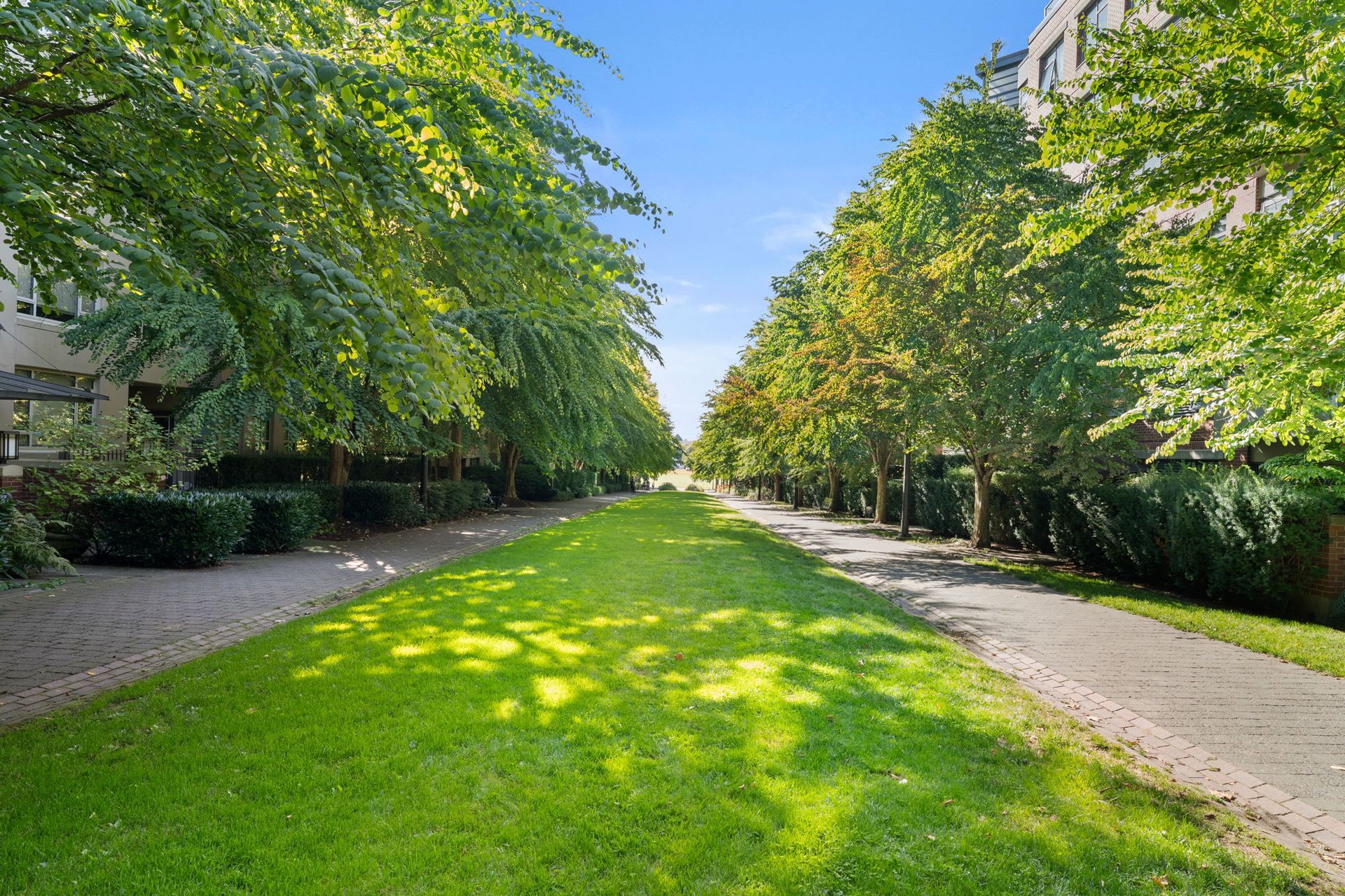 42-web-or-mls-_a734322 at 400 - 2175 Salal Drive, Kitsilano, Vancouver West 42-web-or-mls-_a734322 at 400 - 2175 Salal Drive, Kitsilano, Vancouver West