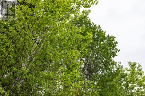 00-drummond-conc-5b-road-drummond-n-elmsley-drummondnorth-elmsley-04 at 00 Drummond Conc. 5b Road, Drummond/North Elmsley