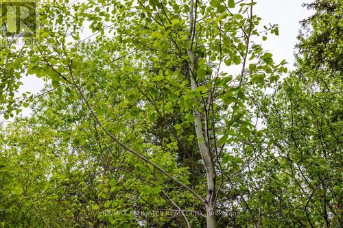 00-drummond-conc-5b-road-drummond-n-elmsley-drummondnorth-elmsley-05 at 00 Drummond Conc. 5b Road, Drummond/North Elmsley