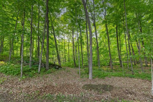 234-boyds-road-913-lanark-highlands-lanark-twp-lanark-highlands-on-34 at 234 Boyds Road, Lanark Highlands (Lanark) Twp, Lanark Highlands