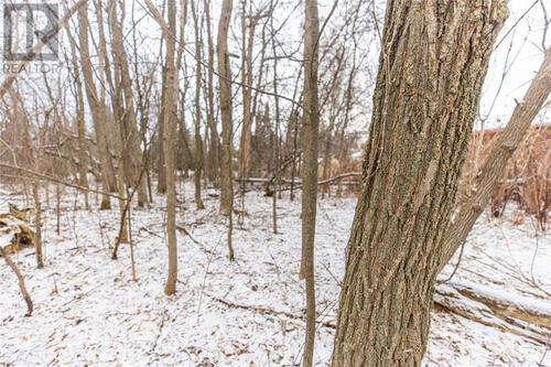 lot-75-joseph-street-carleton-place-carleton-place-05 at Lot 75 Joseph Street, Carleton Place