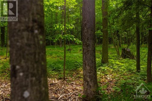 517-ramsay-concession-8-road-mississippi-mills-mississippi-mills-26 at 517 Ramsay Concession 8 Road, Mississippi Mills