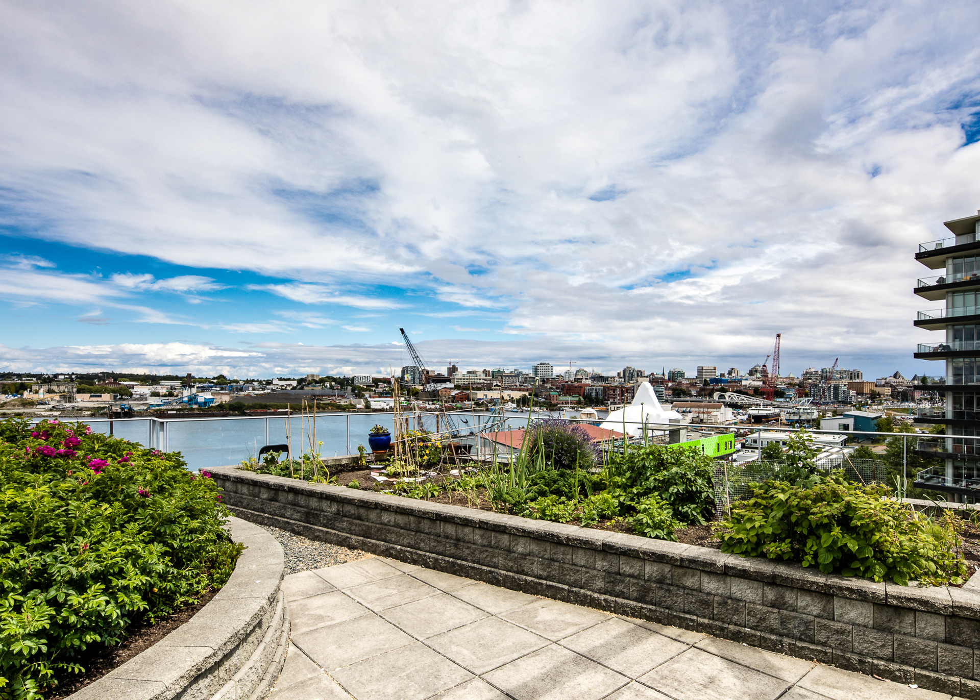 Rooftop Patio at 304 - 391 Tyee Road, Victoria West