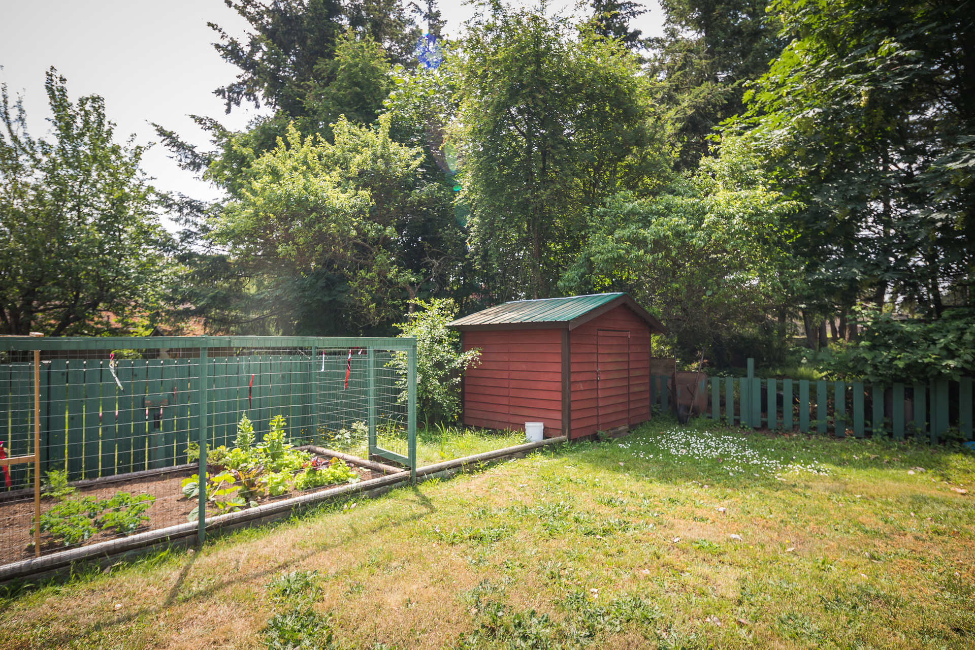 Backyard Shed & Garden at 661 Kelly Road, Hatley Park, Colwood