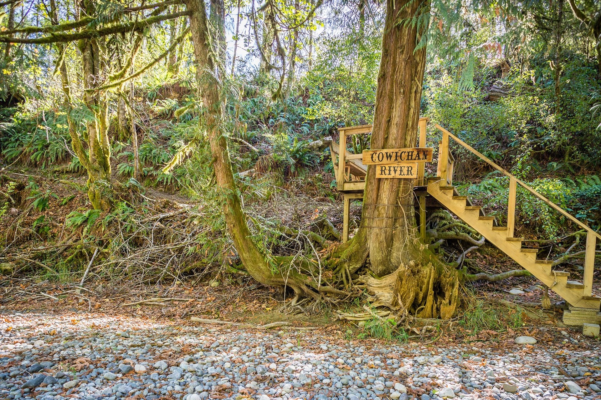 Forrested Lot at 5189 Jeffries Road, Mill Bay, Malahat & Area