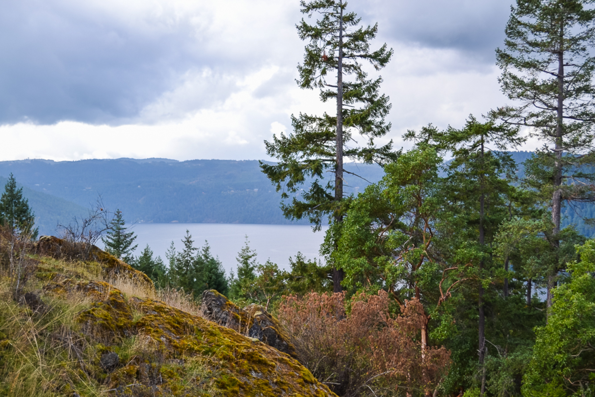 West Coast Forrest at Lot 2 Willis Point Road, Central Saanich