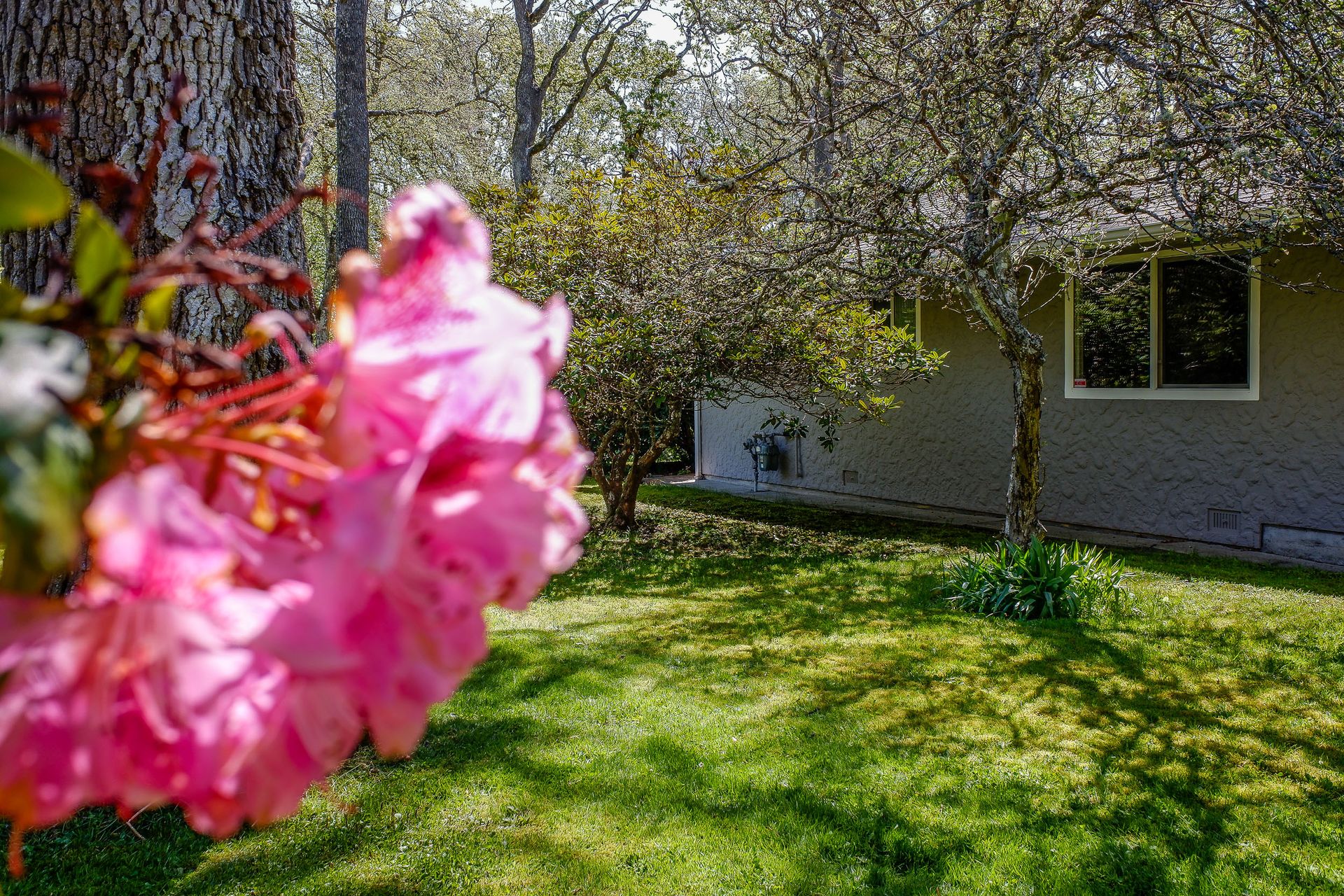 at 3130 Uplands Road, Uplands, Oak Bay  at 3130 Uplands Road, Uplands, Oak Bay