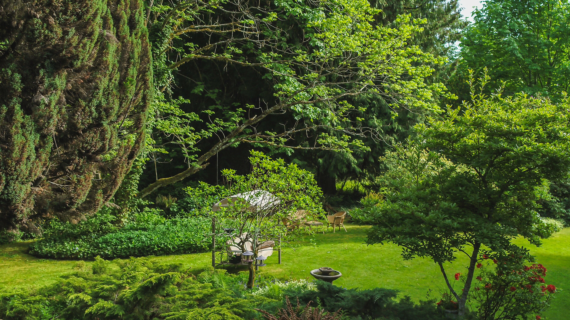 Grounds at 5895 River Road, Port Alberni, Vancouver Island Grounds at 5895 River Road, Port Alberni, Vancouver Island