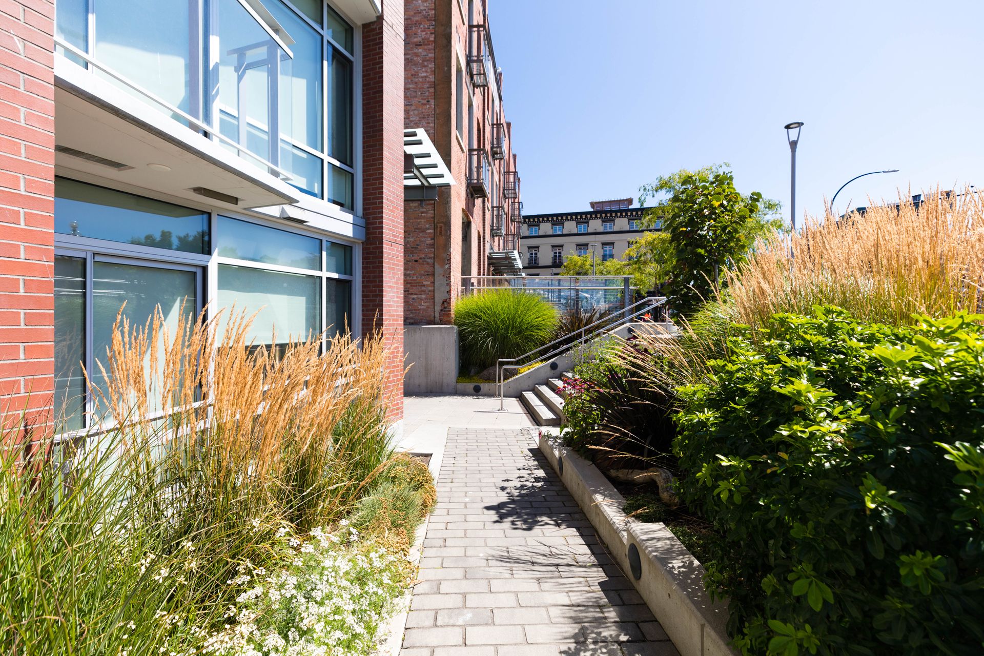  at M11 - 456 Pandora Avenue, Downtown, Victoria