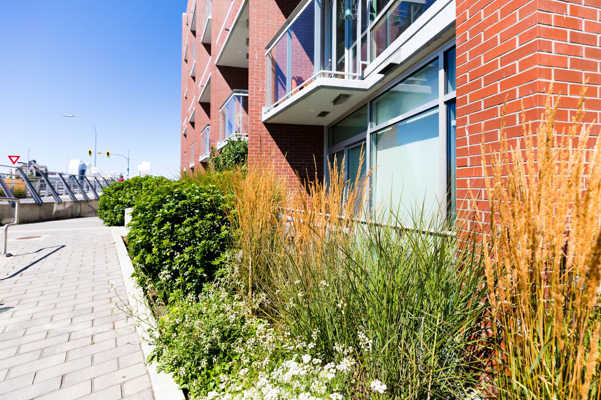  at M11 - 456 Pandora Avenue, Downtown, Victoria