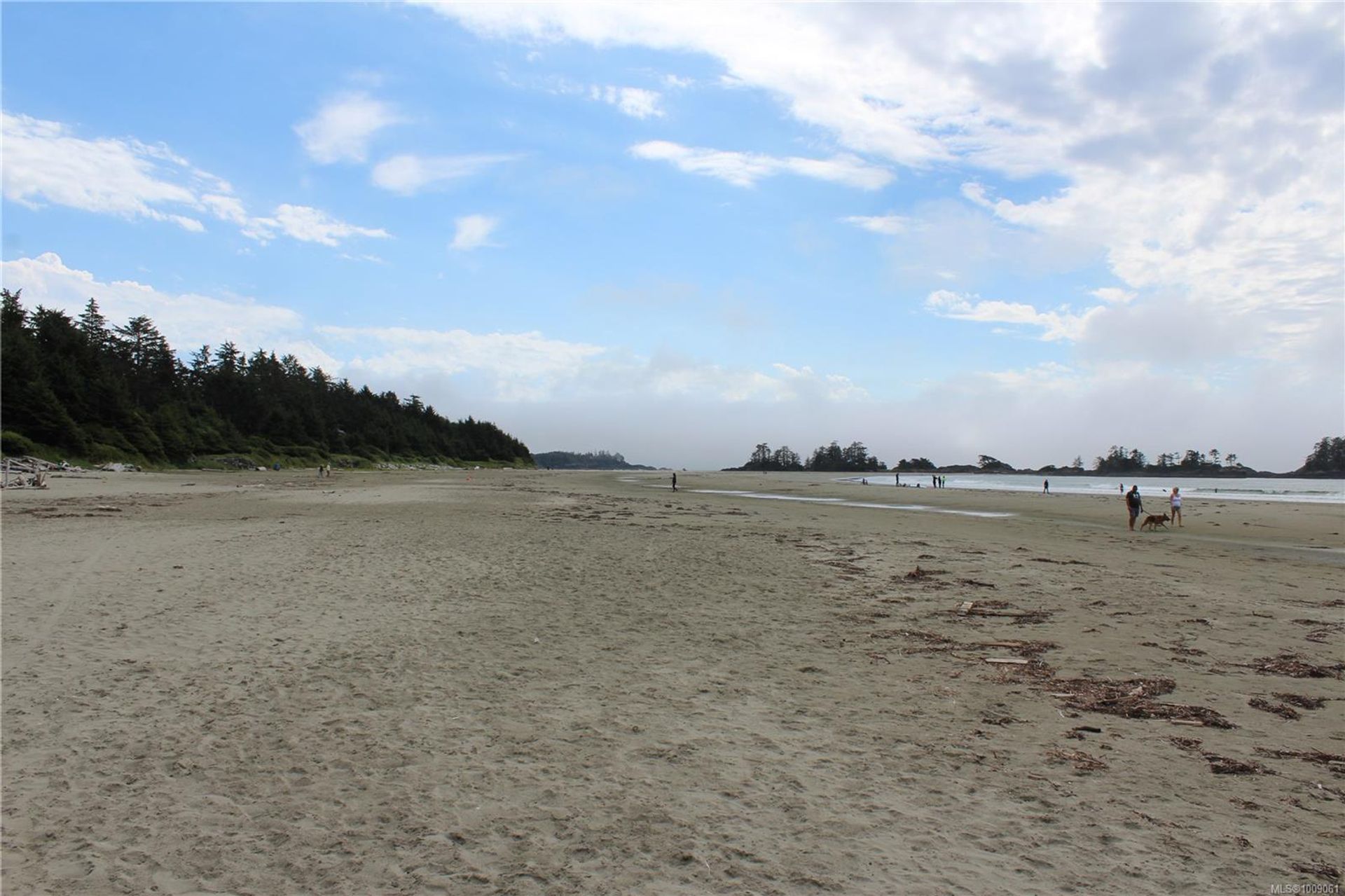  at 1208 Lynn Road, Tofino, Port Alberni