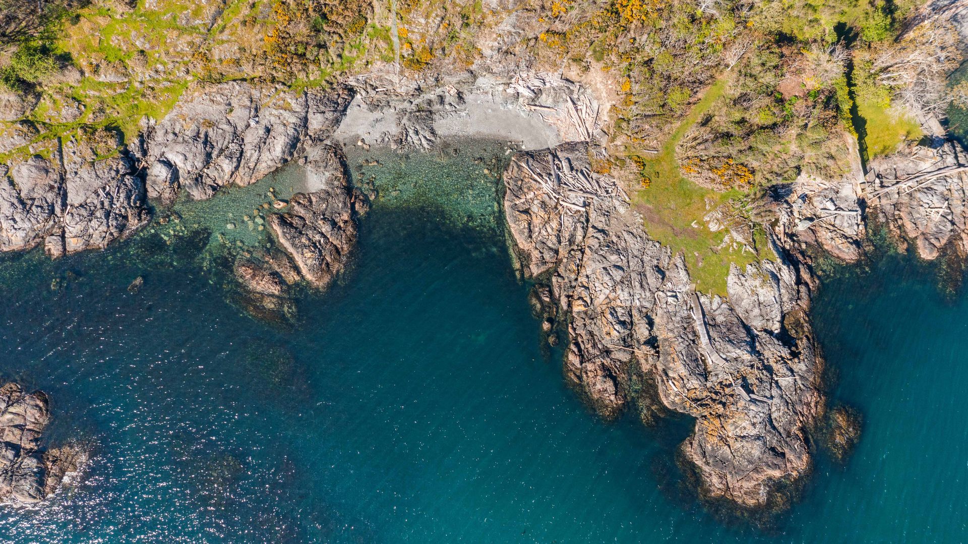 at 1069 & 1101 Beach Drive, South Oak Bay, Oak Bay  at 1069 & 1101 Beach Drive, South Oak Bay, Oak Bay