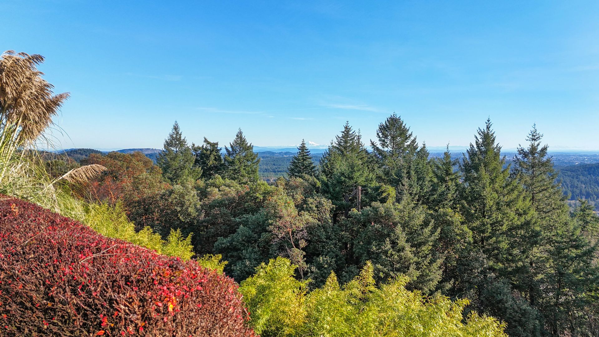  at 2163 Spirit Ridge Drive, Bear Mountain, Langford