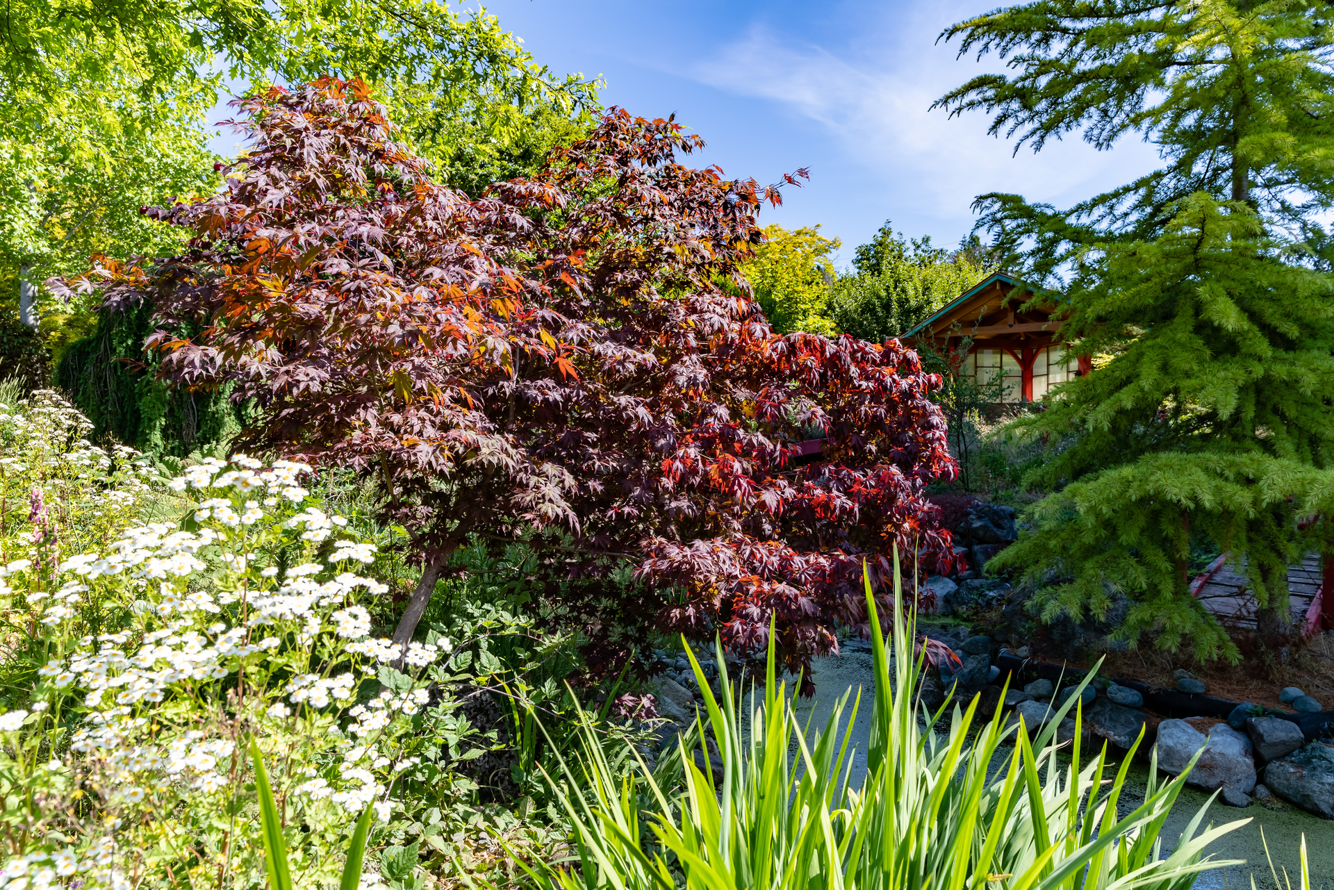 at 11326 Chalet Road, Deep Cove, North Saanich at 11326 Chalet Road, Deep Cove, North Saanich