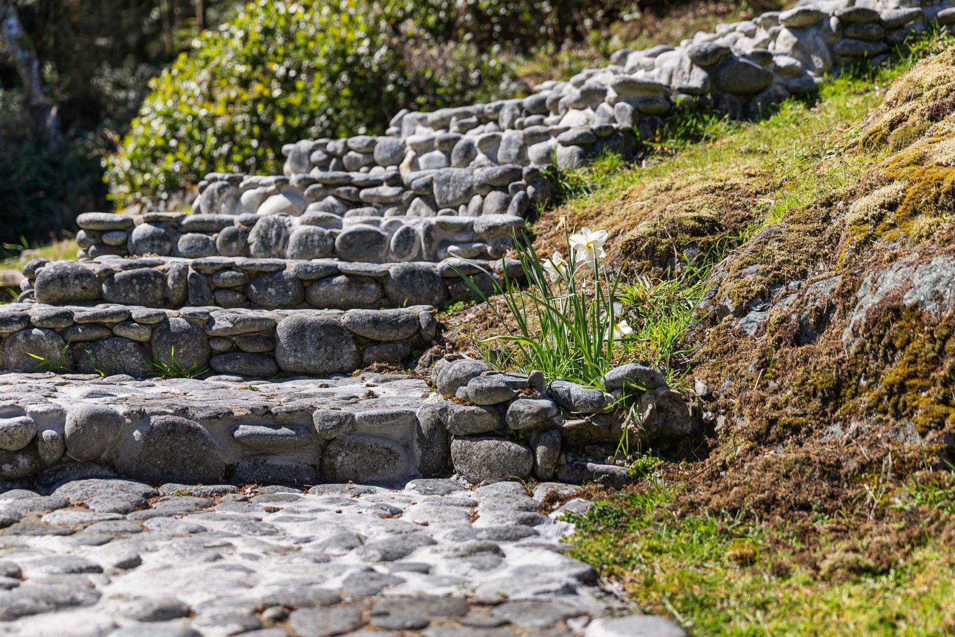  at 907A Parkheights Drive, East Sooke, Sooke