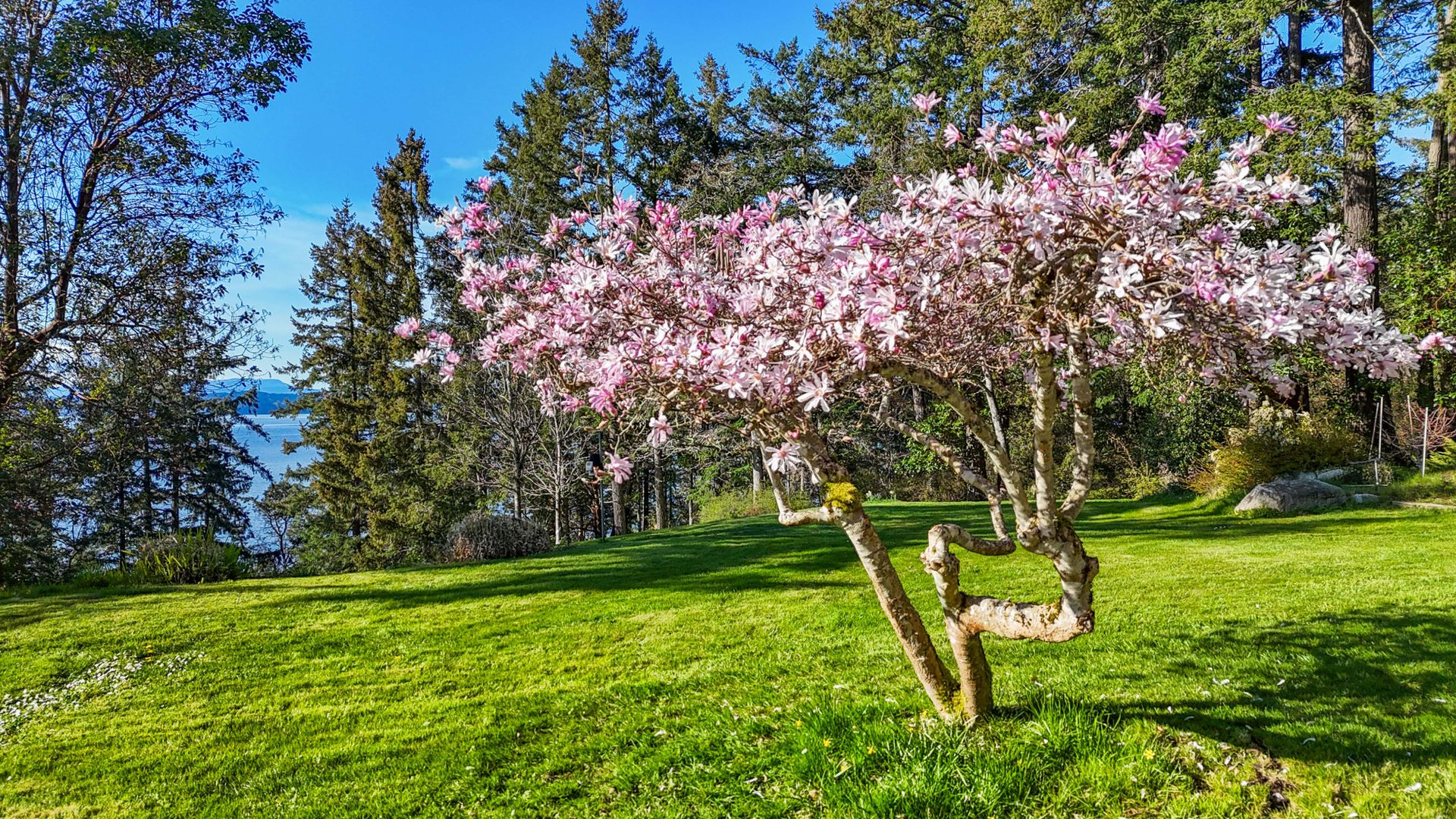  at 8440 Lawrence Road, Inlet, Central Saanich