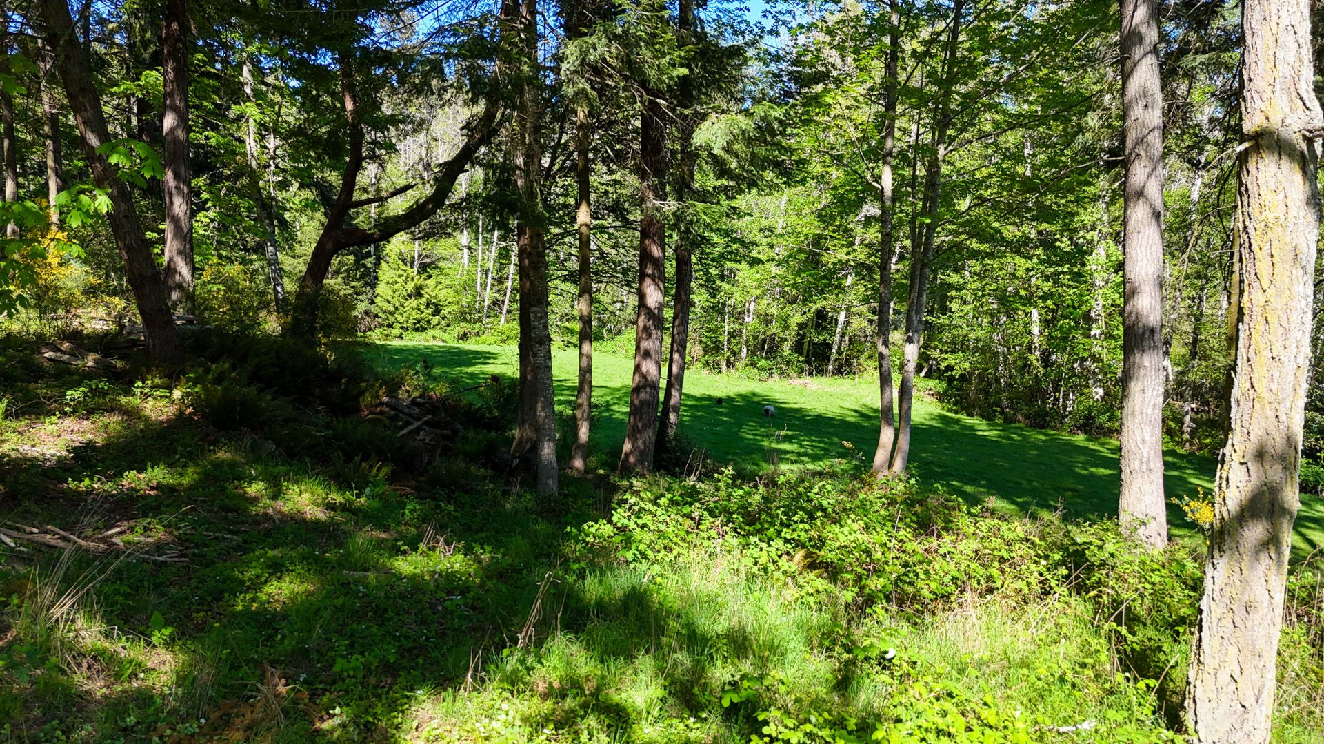  at 151 Upper Ganges Road, Salt Spring, Gulf Islands