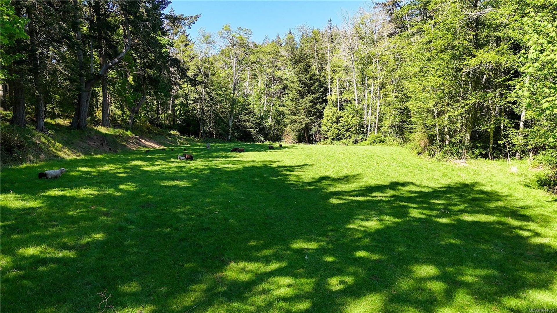 265-lower-ganges-salt-spring-gulf-islands-16 at 265 Lower Ganges Road, Salt Spring, Gulf Islands